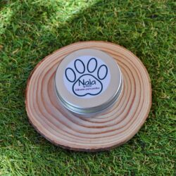 Nala by Musa